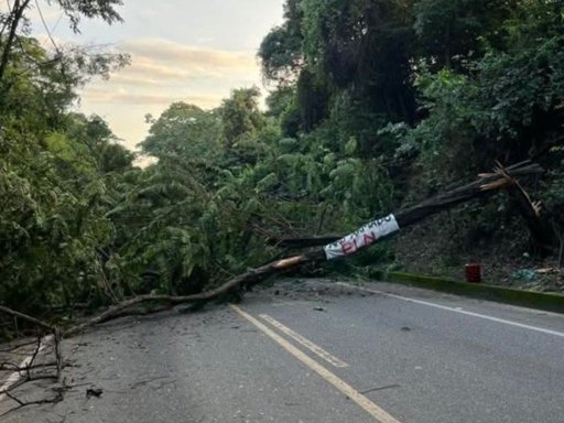 ELN inicia paro armado de 72 horas y el Gobierno ordena atacarlo