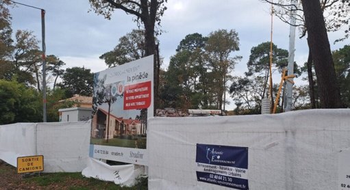 La gestion du patrimoine arboré au cœur de tensions urbanistiques à Saint-Brevin-les-Pins