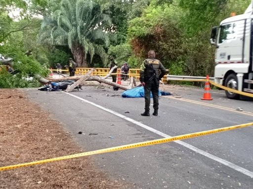 Padre e hijo mueren tras la caída de un árbol sobre su motocicleta en el Huila