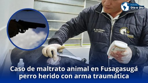 Graves casos de maltrato animal en Cundinamarca y Santander generan indignación