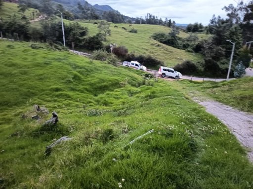 El Misterio de Valeria Afanador: Hallazgo del Cuerpo en Zona Previamente Rastrillada Cuestiona la Investigación