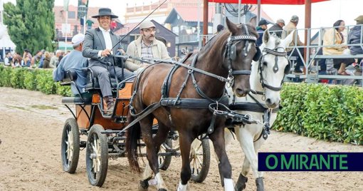Golegã volta a ser a capital do cavalo com a Feira Nacional e Internacional do Cavalo Lusitano
