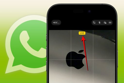 WhatsApp Finalmente Integra las Live Photos de Apple en su Plataforma