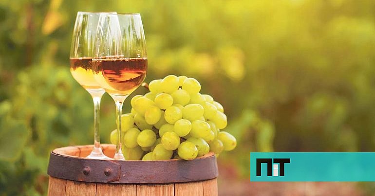 Uvas com Sabor a Algodão Doce e Manga Tornam-se Virais em Portugal