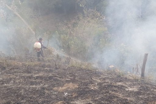 Articulación interinstitucional para la prevención de incendios forestales en el Tolima