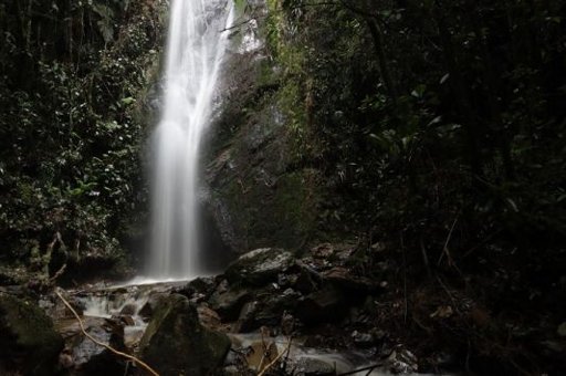 Medellín protege más de 3.000 hectáreas de reservas naturales en sus corregimientos