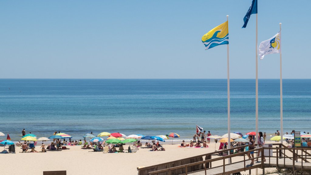 Praias no Algarve e Nazaré Interditadas a Banhos por Contaminação da Água