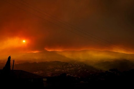 IPMA coloca mais de 20 concelhos em perigo máximo de incêndio rural