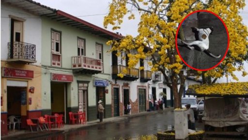 Casos de maltrato animal impulsan llamado a endurecer el Código Penal en Colombia