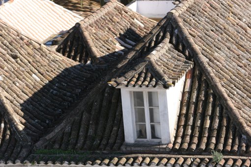 Município de Tavira reforça apoio ao arrendamento para famílias vulneráveis