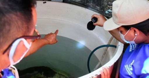 Bucaramanga en alerta por ser uno de los principales focos de dengue en Santander