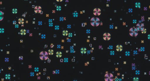 Investigadoras portuguesas criam selos de autenticidade infalsificáveis a partir de gelatina