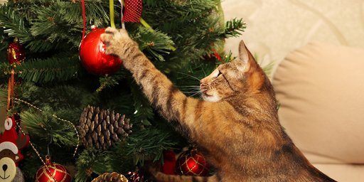 Assurer la sécurité des animaux pendant les fêtes de fin d'année