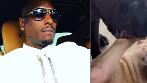 Actor Tyrese Gibson enfrenta orden de arresto tras ataque mortal de sus perros