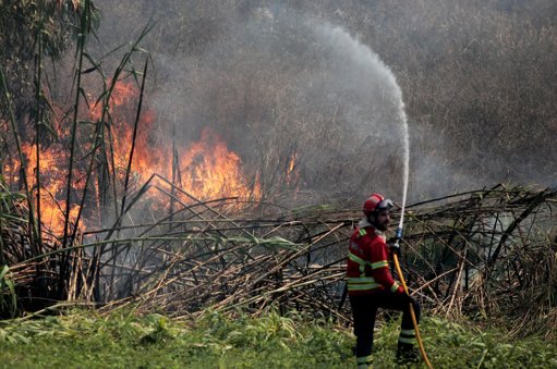 Cerca de 60 Concelhos em Perigo Máximo de Incêndio Rural