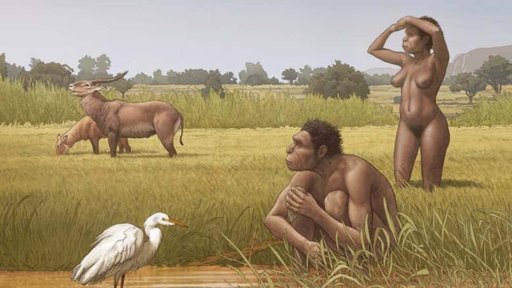 Confirmado: El Hominino Más Antiguo Conocido Ya Caminaba Erguido Hace Siete Millones de Años