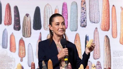 Gobierno Federal anuncia el programa “Sin maíz no hay país”