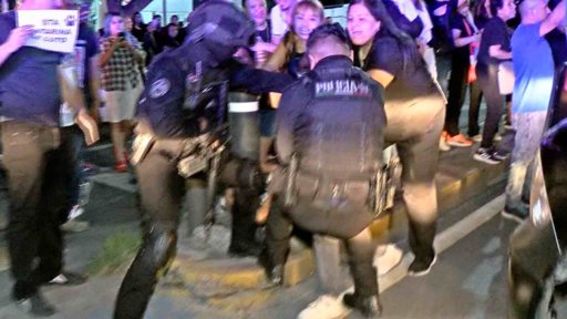 Movilización Ciudadana en Santa Catarina Logra Rescate de Animales en Centro de Bienestar