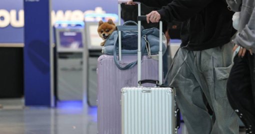 Inauguran hotel de lujo para perros en aeropuerto de Roma