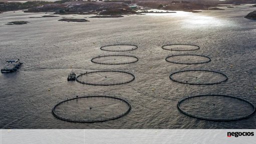 Jerónimo Martins investe 13,5 milhões de euros e torna-se acionista estratégico da Norcod