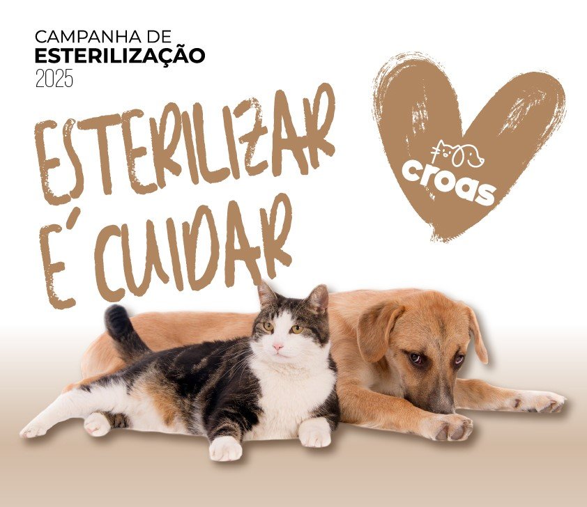 Municípios de Santarém e Almeirim promovem campanhas de esterilização gratuita de animais