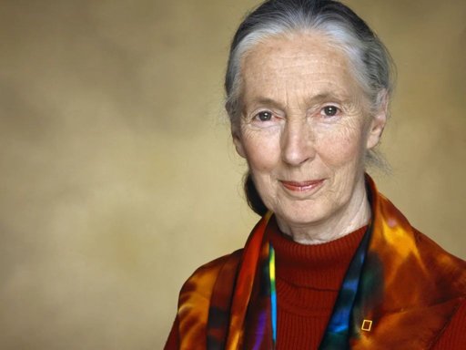 El Legado de Jane Goodall: Una Vida que Redefinió la Ciencia y la Conservación