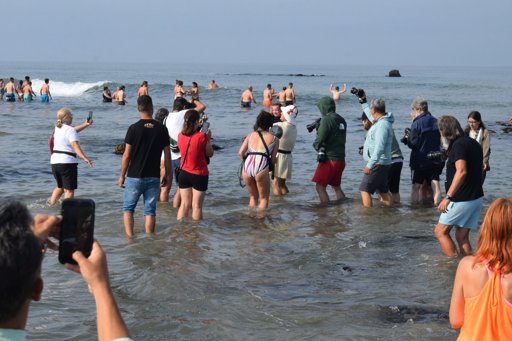 O Ritual do "Banho Santo" para Curar Crianças em Esposende