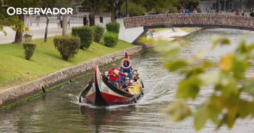 Ironia em Aveiro: Barco Moliceiro Afunda-se no Dia do Reconhecimento da UNESCO