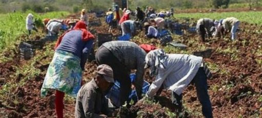 Debate de la Ley de Jurisdicción Agraria se reactiva en la Cámara para el 28 de octubre