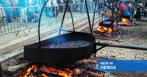 Oeiras Celebra São Martinho com Magusto de 12 Toneladas de Castanhas