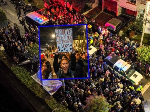 Comunidad y autoridades rescatan a siete caninos víctimas de presunto maltrato en Pasto