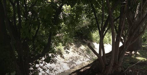 Fallece Mujer en Situación de Calle que fue Quemada Viva en Medellín