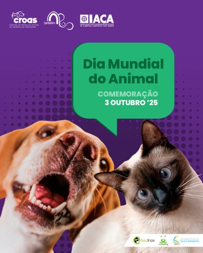 Santarém Celebra Dia Mundial do Animal com Ações de Solidariedade