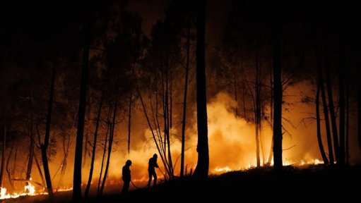 Risco máximo de incêndio rural decretado para mais de 50 concelhos