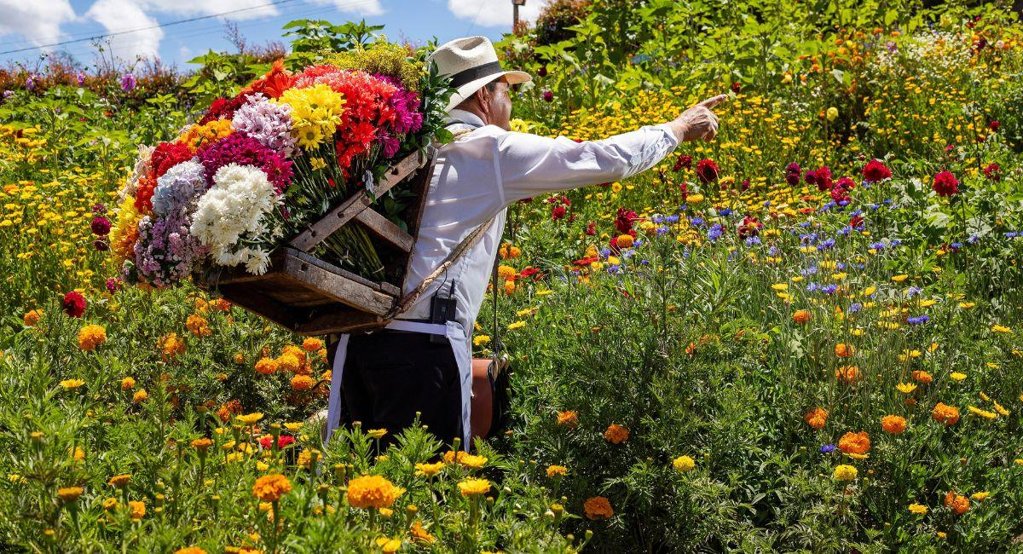 La Feria de las Flores 2025 transforma a Medellín con tablados, desfiles y tradición silletera