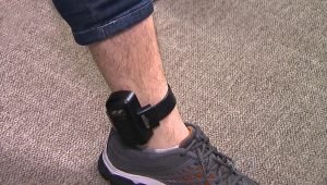 Homem detido por homicídio de sem-abrigo em Paredes fica em prisão domiciliária