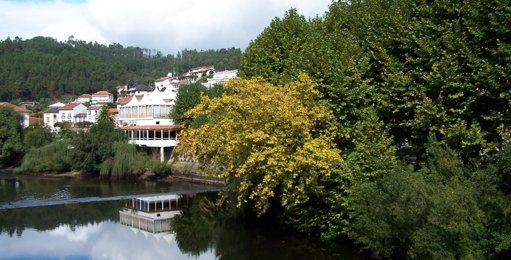 Cidadãos protestam em São Pedro do Sul por biodiversidade e contra monocultura do eucalipto