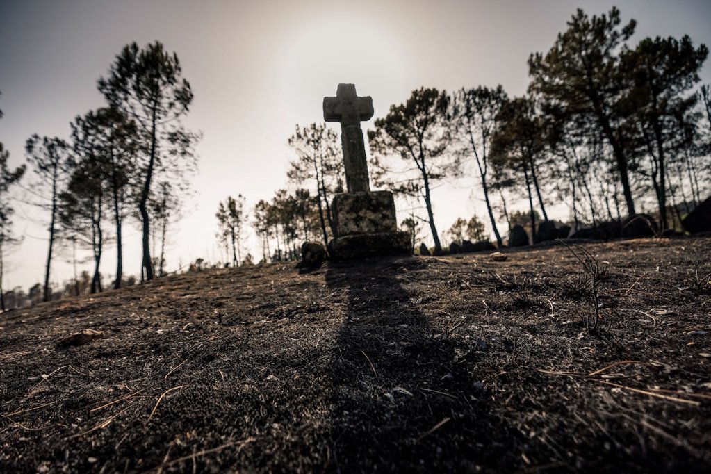 Ex-autarca Carlos Dâmaso morre a combater incêndio na Guarda