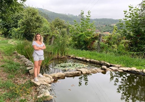 Zonas húmidas artificiais desenvolvidas no Minho para despoluir e reutilizar água