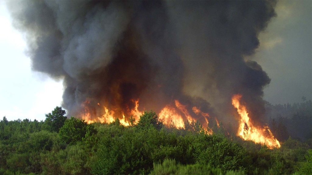 Incêndios nos distritos de Viseu e Guarda obrigam ao corte de Estradas Nacionais
