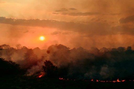IPMA Coloca Mais de 20 Concelhos em Risco Máximo de Incêndio Rural