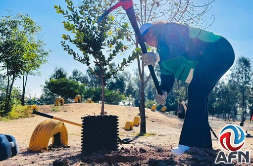 Tijuana Impulsa la Infraestructura Verde y la Reforestación Urbana