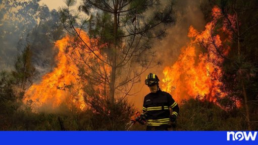 Mais de 40 Concelhos em Perigo Máximo de Incêndio Rural