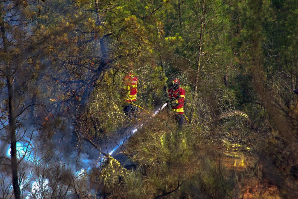 Incêndio no Fundão ameaça aldeias e autarca alerta para falta de recursos