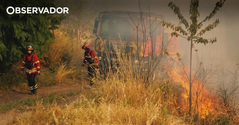 Voluntários de Mota Apoiam Bombeiros no Combate a Incêndio em Vila Real