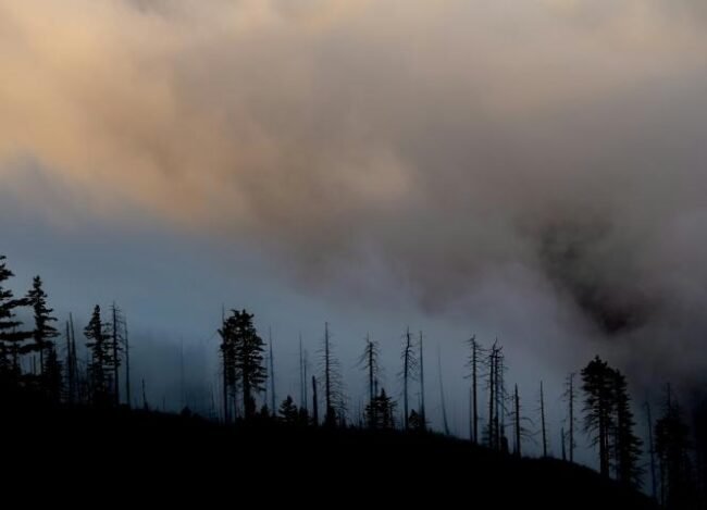 Ambientalistas pedem avisos públicos sobre perigos da poluição do ar causada por incêndios