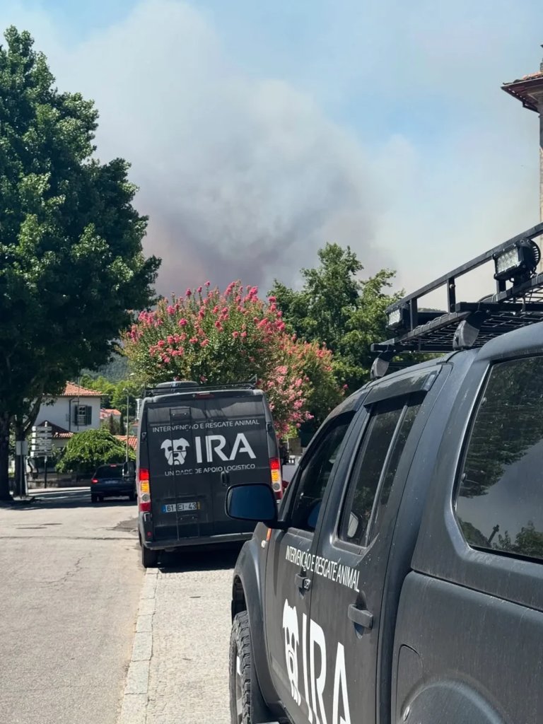 IRA Resgata Centenas de Animais Durante Vaga de Incêndios em Portugal