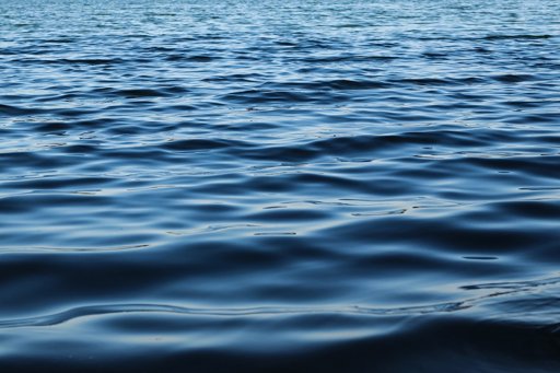 Morte de peixes na Barragem do Roxo atribuída a calor e baixo nível da água