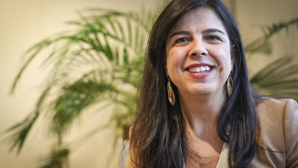 Governo desvaloriza meios aéreos no combate aos incêndios e apela à união nacional