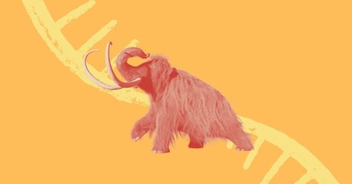 Sequenciação de ARN de Mamute com 40.000 Anos Abre Nova Janela para o Passado